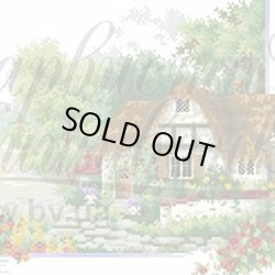 画像1: ビーズ刺繍　四季シリーズ・夏 (ТП013)