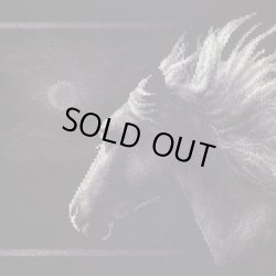 画像1: クロスステッチキット 月夜の馬 (PANNA パンナ J-0527)