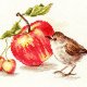 クロスステッチキット 小鳥とリンゴ (Alisa АЛИСА アリサ 5-22)