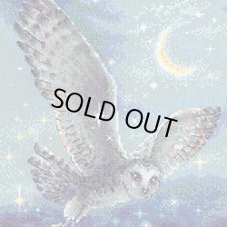 画像1: クロスステッチ キット 魔法のフクロウ (RIOLIS・リオリス・1872 Magic Owl)