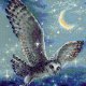 クロスステッチ キット 魔法のフクロウ (RIOLIS・リオリス・1872 Magic Owl)