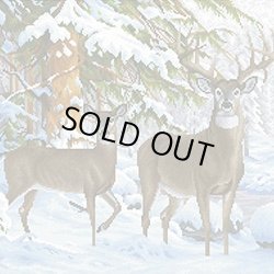画像1: ビーズ刺繍　冬の森の鹿　全面刺し (ТТ015) 