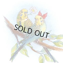 画像1: クロスステッチキット Love is in the Air (RIOLIS・リオリス・1956 セキセイインコ)