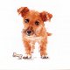 クロスステッチキット ちいさな子犬 (Alisa АЛИСА アリサ 0-168)