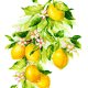 クロスステッチキット レモン (RIOLIS・リオリス・2054)