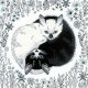 クロスステッチ キット 白猫と黒猫 陰と陽 (RIOLIS・リオリス・2150)