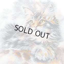 画像1: クロスステッチキット 霧の中の猫 (Sdelay Svoimi Rukami S-33)