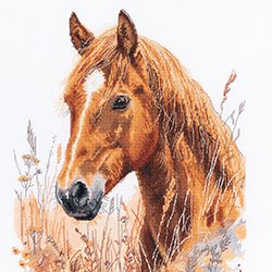 画像1: クロスステッチ キット 草原の馬 (PANNA J-7528)