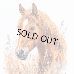 画像1: クロスステッチ キット 草原の馬 (PANNA J-7528)