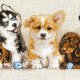 クロスステッチキット Puppies 子犬 (RIOLIS・リオリス・2221)