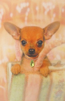 画像1: グリーティングカード　Ｎｏ、7