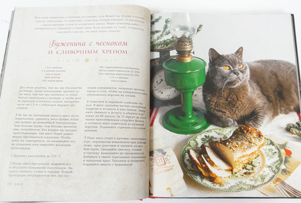 ロシアのレシピ本 Novyj God S Akcentom 猫とクリスマス