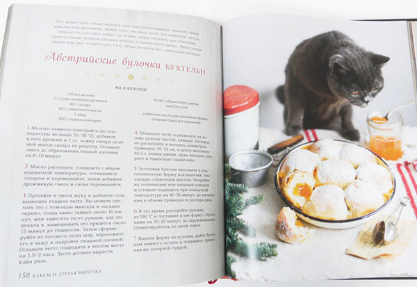 ロシアのレシピ本 Novyj God S Akcentom 猫とクリスマス